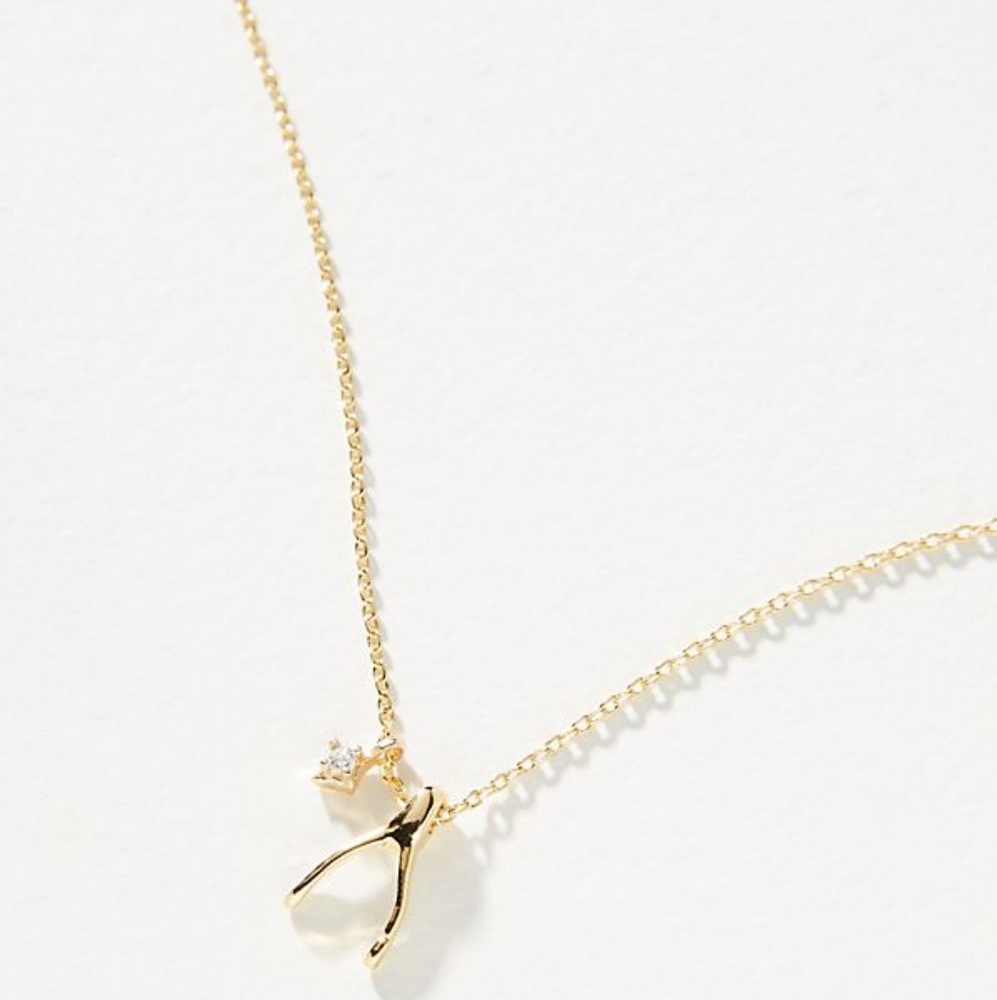 Wishbone Postcard Necklace